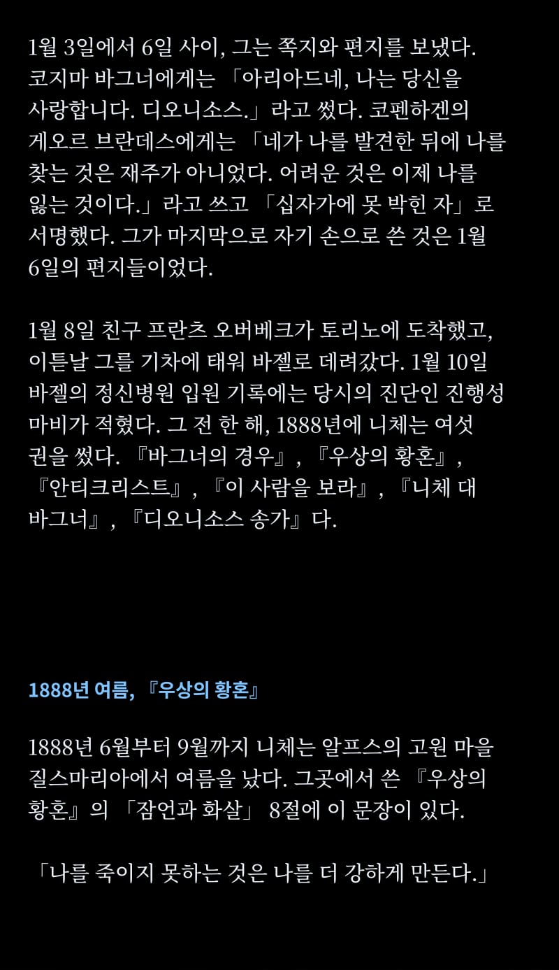 니체의 삶 4쪽