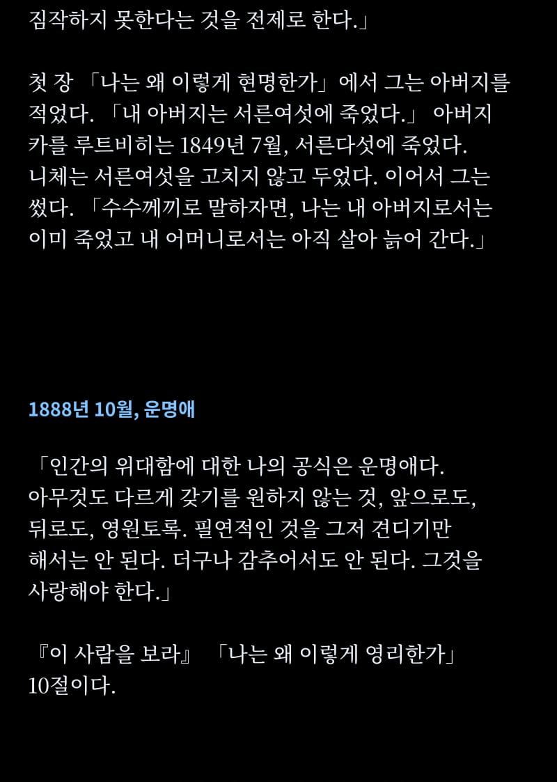 니체의 삶 11쪽