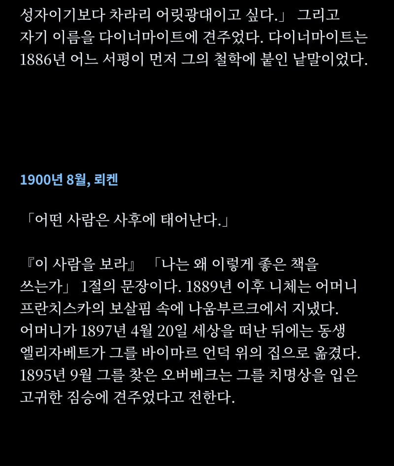 니체의 삶 13쪽