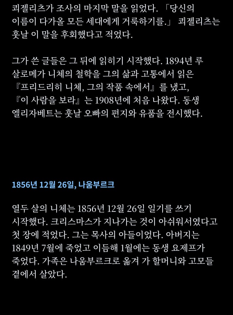 니체의 삶 15쪽