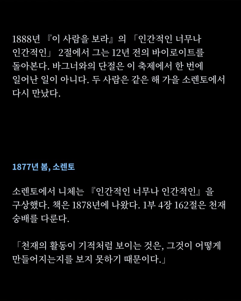 니체의 삶 37쪽