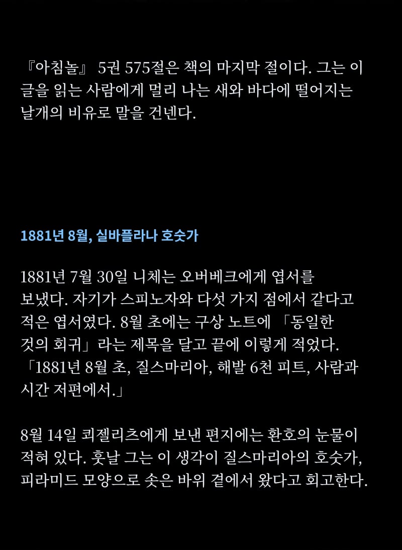 니체의 삶 42쪽