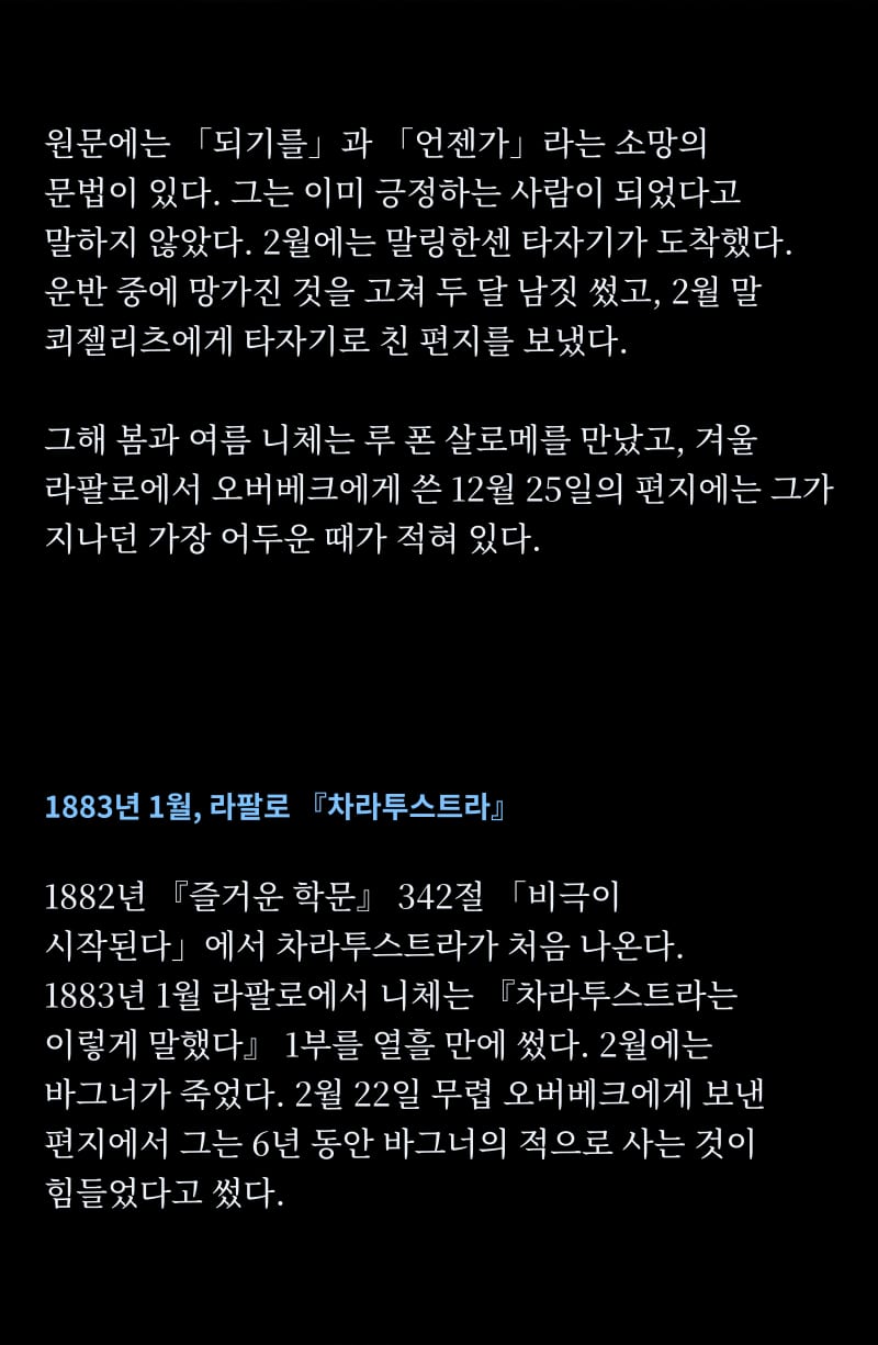 니체의 삶 45쪽