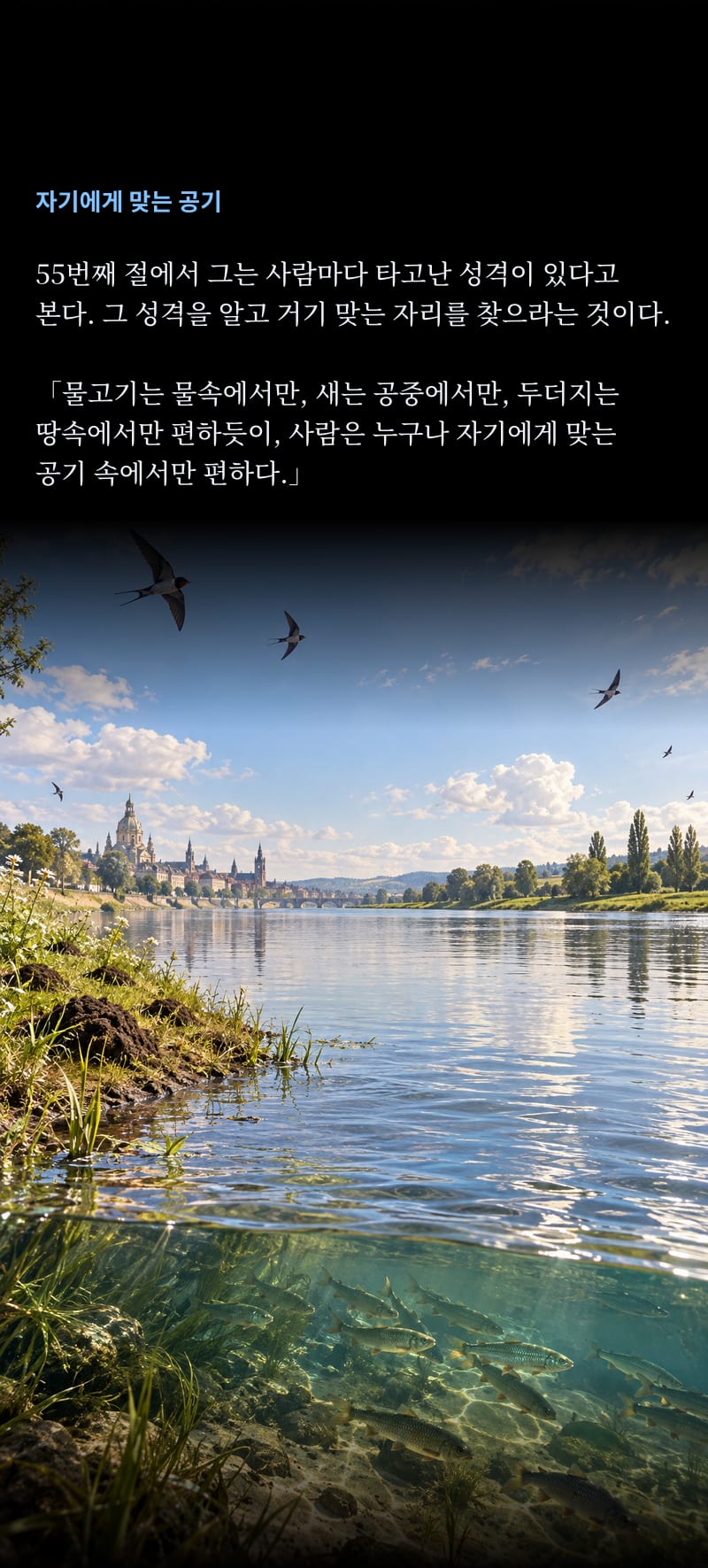 쇼펜하우어의 삶 13쪽