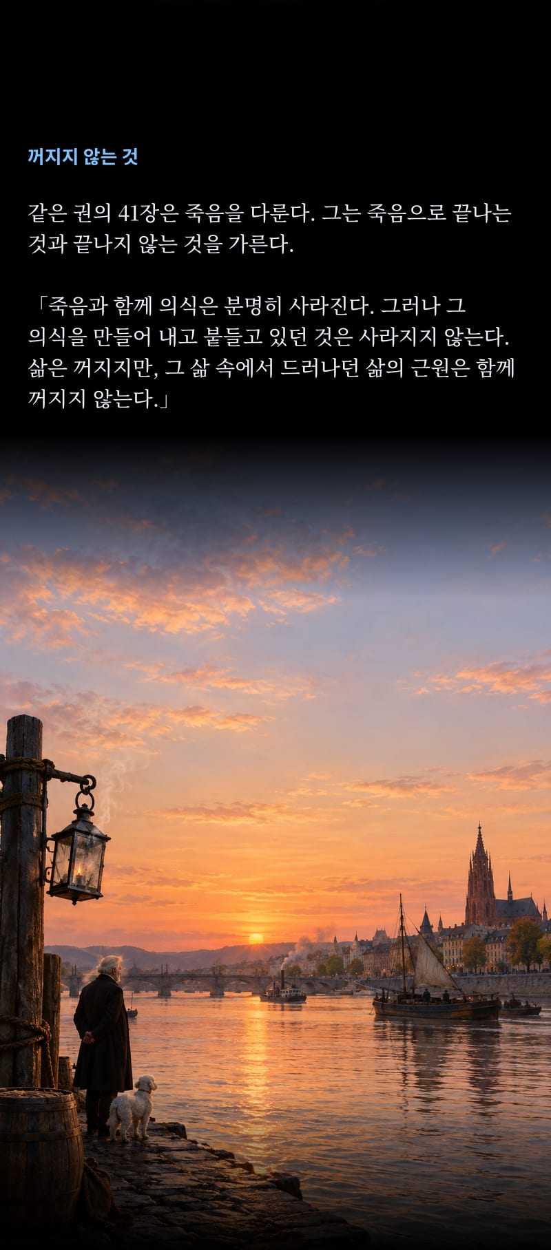쇼펜하우어의 삶 20쪽