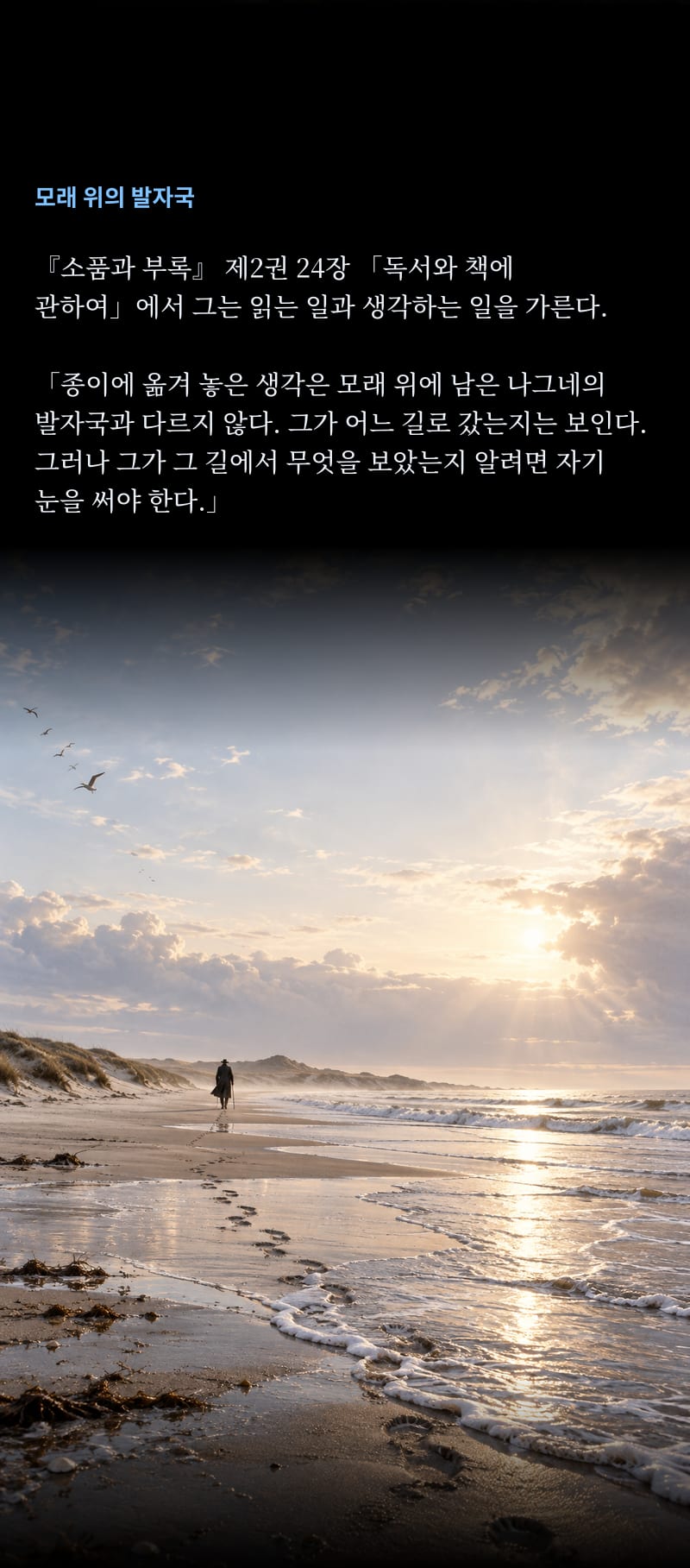 쇼펜하우어의 삶 29쪽