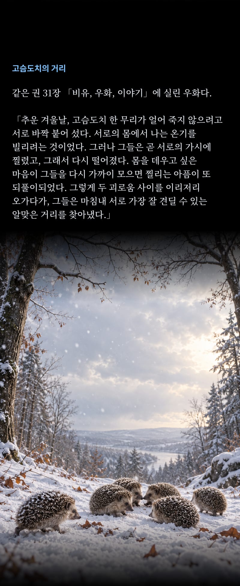 쇼펜하우어의 삶 30쪽
