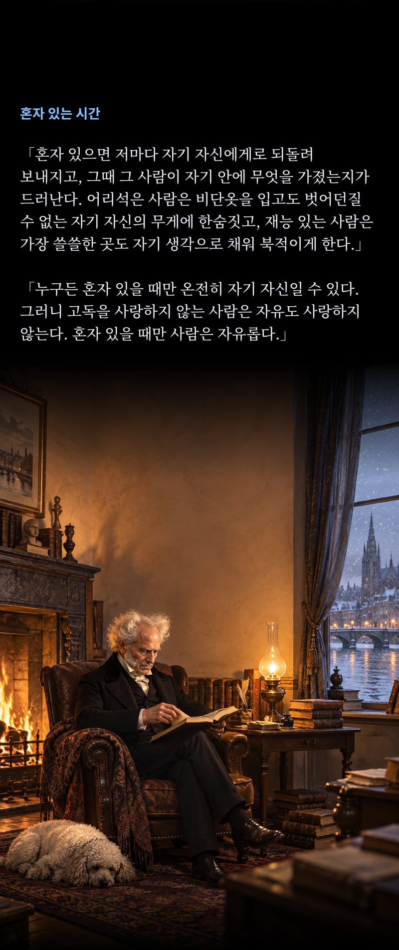 쇼펜하우어의 삶 33쪽