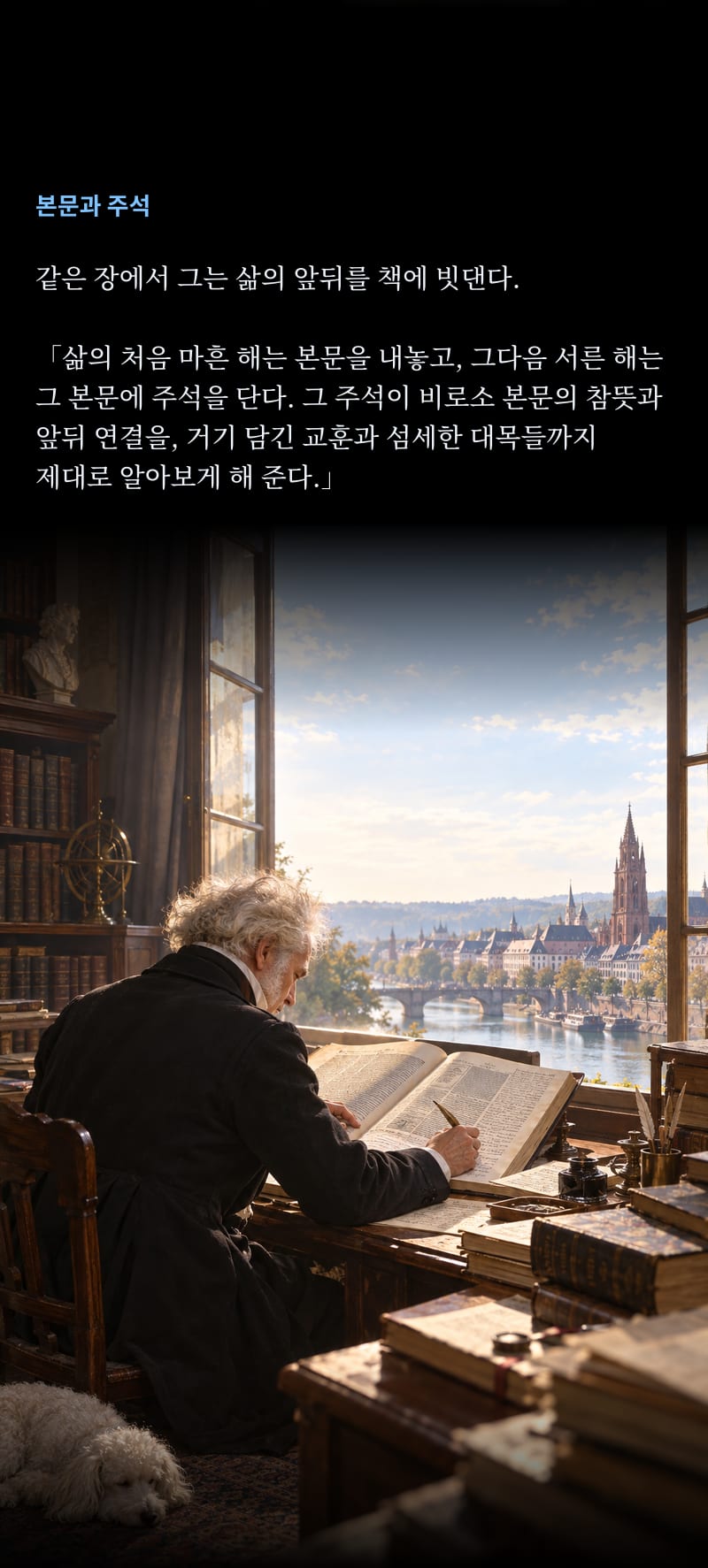 쇼펜하우어의 삶 36쪽