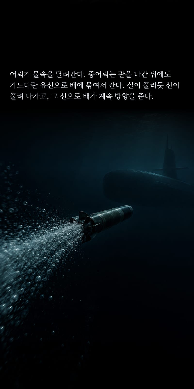 심도 11쪽