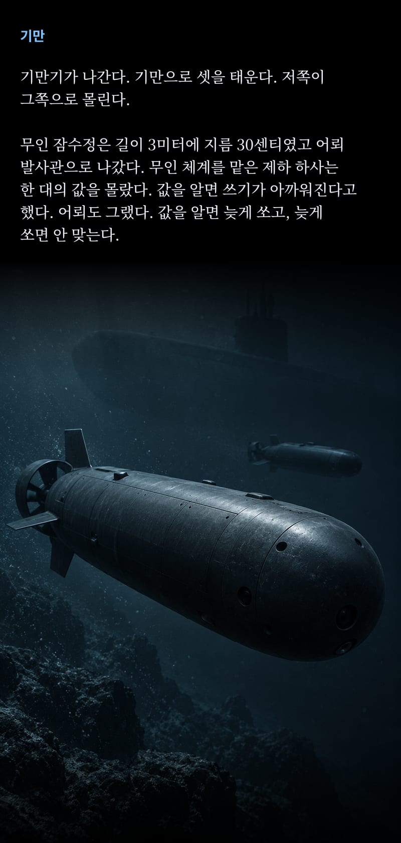 심도 30쪽