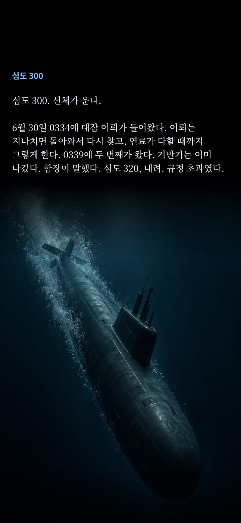 심도 31쪽
